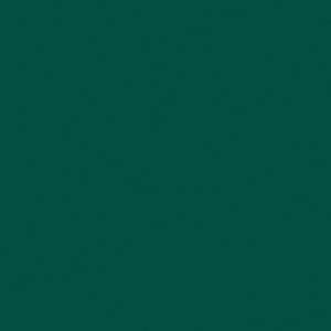 Спортивное ПВХ покрытие Tarkett Omnisports Speed (Омниспортс Спид) R35 Forest Green (Лес Зеленый) (рулон: 2x20.5м=41м2)