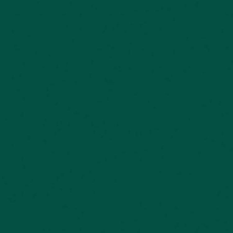 Спортивное ПВХ покрытие Tarkett Omnisports Speed (Омниспортс Спид) R35 Forest Green (Лес Зеленый) (рулон: 2x20.5м=41м2)