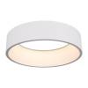 Подвесной светодиодный светильник Arlight SP-Tor-Ring-Hang-R460-33W Day4000 022147(1) фото 3