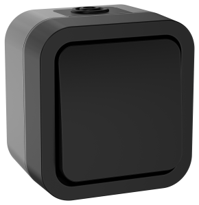 Выключатель 1-клавишный IEK Tors TS-V14-0-10-55-K53 графит