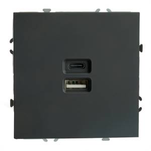 Розетка двойная с USB Stekker RST10-5115-05 49853