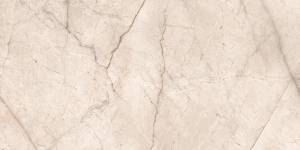 Керамогранит Ocean ceramic Silver Root Pearl 80x160