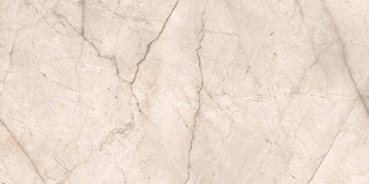 Керамогранит Ocean ceramic Silver Root Pearl 80x160