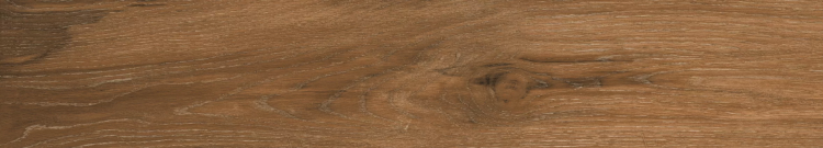 Керамогранит Absolut Gres Wildwood AB 1164W Dark Brown 1200x200