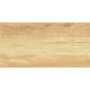 Керамическая плитка AltaCera Paradise WT9OAS31 Wood 25x50