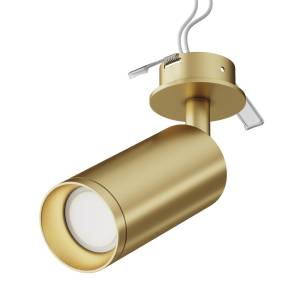 Потолочный светильник Technical Focus C018CL-01MG
