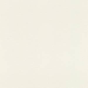 Обои флизелиновые Rasch Phapsody 690705