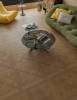Ламинат Mostflooring Ле Паркет (Le Parquet) 14/34 4V 207 Прага 600x600 фото 2