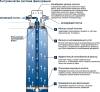 Фильтр Grohe Blue 40430001 M-Size, без насадки фото 10