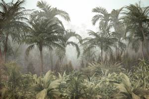 3D Фотообои Artegrafico «Туманная даль в джунглях» DJ-012 канвас