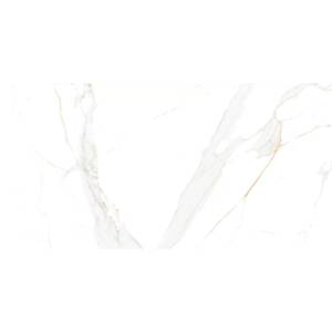 Керамогранит Asia Pacific Glossy Statuario Regal Gold 60x120