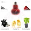 Лампа инфракрасная ЭРА E27 60 Вт для обогрева животных и освещения ИКЗК 230-60 Вт R63 Е27 Б0057281 фото 2