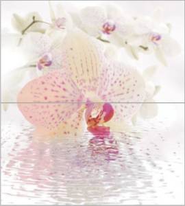 Панно Ceradim Orchid КПН16Orchid Dec Panno (из 2-х шт) 50x45