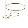 Подвесной светодиодный светильник Loft IT Ring 10017/4M фото 3