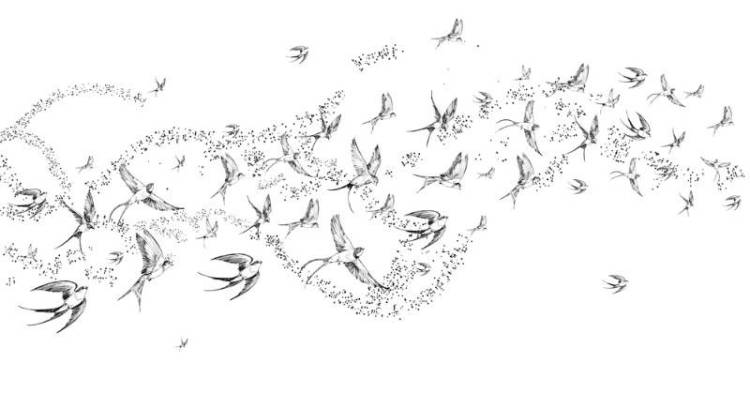 3D Фотообои Artegrafico «Грациозные чёрно-белые ласточки» LST-050 канвас