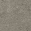 Керамогранит Atlas Concorde Marvel Meraviglia AJIL Grigio Elegante Velvet 120x120