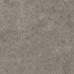 Керамогранит Atlas Concorde Marvel Meraviglia AJIL Grigio Elegante Velvet 120x120