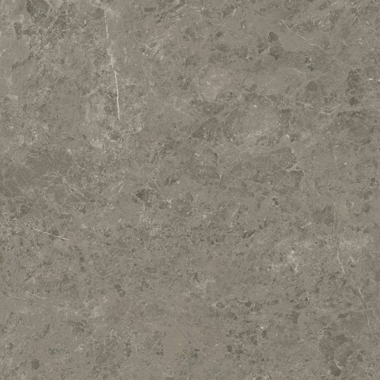 Керамогранит Atlas Concorde Marvel Meraviglia AJIL Grigio Elegante Velvet 120x120