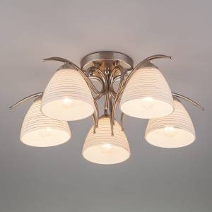 Потолочный светильник Eurosvet Megan 30121/5 сатин-никель