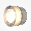 Настенный светодиодный светильник Maytoni Olo MOD493WL-L6PTK1 фото 2