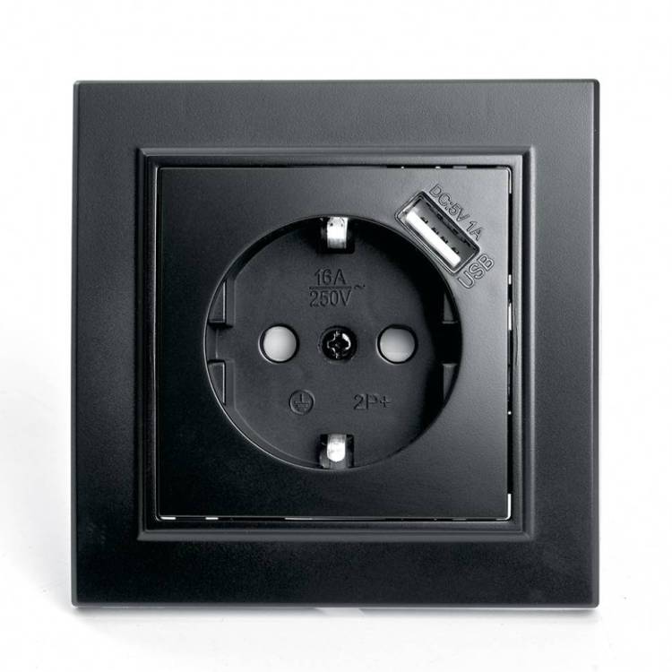 Розетка с защитной шторкой и с USB Stekker Эрна 39480