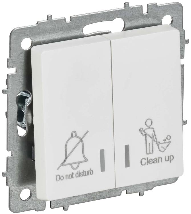 Выключатель 2-клавишный IEK Brite BR-V20-2-10-K91 арктический белый