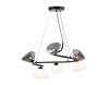 Подвесной светильник Ambrella light High Light LH15003