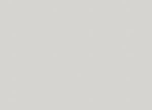 Обои Marburg Bloom 36367