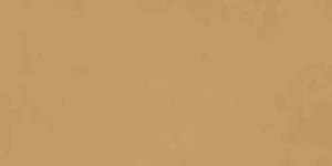 Керамогранит Ragno Decora RA5D Senape Rett 60x120