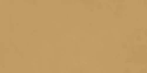 Керамогранит Ragno Decora RA5D Senape Rett 60x120