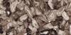 Керамогранит Ennface Accent ENACN1013HG60120 Volcanic Agate High Glossy 120x60x0.9 фото 2