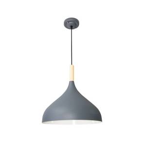 Подвесной светильник Arte Lamp Kayla A7101SP-1GY