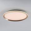 Потолочный светильник LED4U L3020-500 GD фото 2