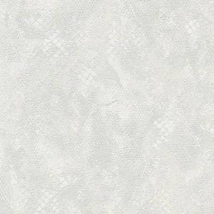 Обои Roberto Cavalli №9 21059