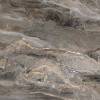 Керамогранит Primavera NR110 Botein Dark Orobico 60x60 фото 4