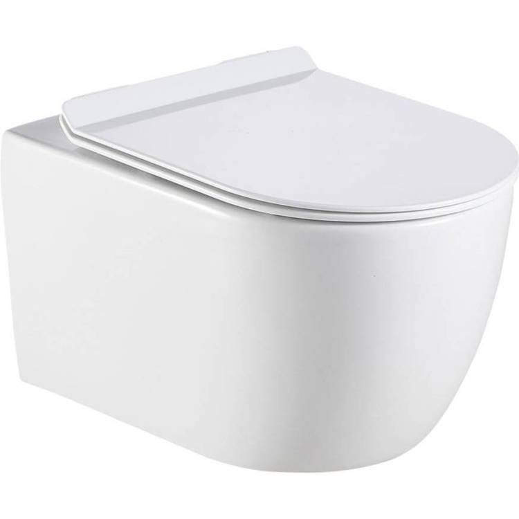 Унитаз подвесной Logan 261951 безободковый, с крышкой-сиденьем микролифт