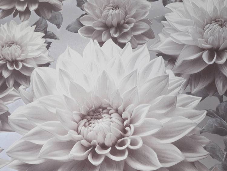 Обои Elysium Лулу 909701