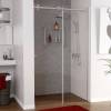 Душевая дверь в нишу Wasserkraft Vils 56R13 110 см