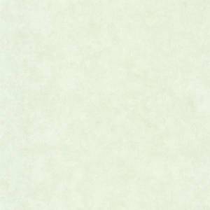 Обои Caselio Beton 2 101487042