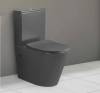 Унитаз-компакт Cerutti Spa Sella CT9865 безободковый, с микролифтом фото 3