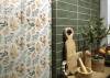 Керамогранит Mainzu Normandy White Centro 20х20 фото 17