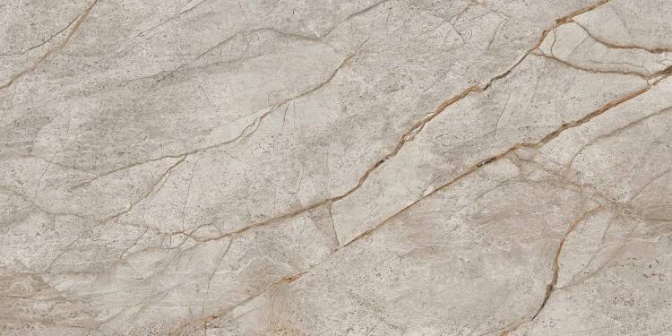 Керамогранит Atlas Concorde Russia Empire 610015000618 Silver Root Rett Lapp / Сильвер Рут Рет Лап 120x60