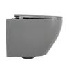 Унитаз подвесной BelBagno Colorato BB062CHR-GR/BB062SC-GR безободковый, сиденье микролфит фото 4