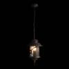 Уличный подвесной светильник Loft IT Prato 100021P фото 4