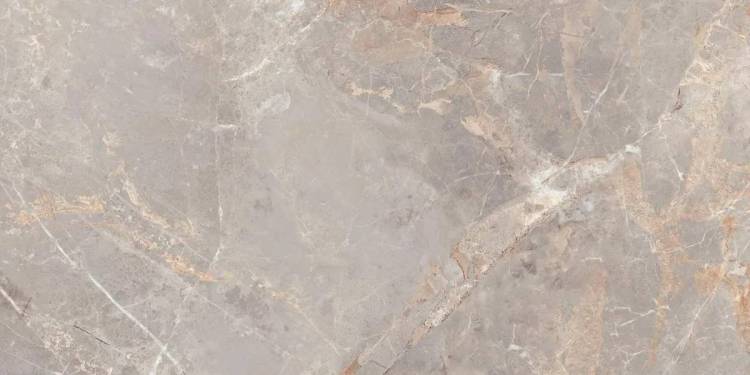 Керамогранит Ocean ceramic OC0000244 Penlico Abalone Carving 60x120