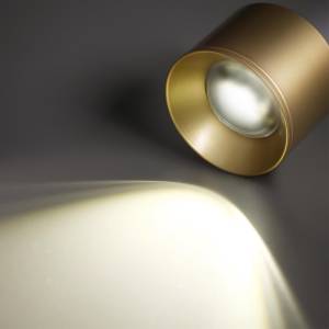 Светильник накладной влагозащищенный Novotech Patera 358669