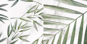 Керамическая плитка Laparet Blanco 00-00-5-08-00-01-2676 Белый Микс 40x20