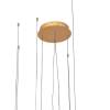 Подвесной светодиодный светильник Loft IT Ring 10017/4L фото 4