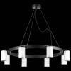 Подвесная люстра Lightstar Rullo LR018368 фото 3