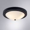 Потолочный светильник Arte Lamp James A4049PL-3BK фото 2